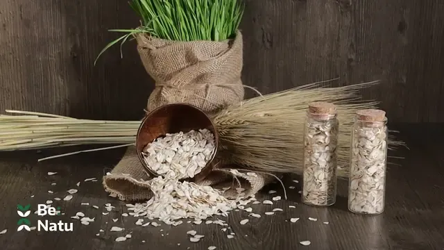 BeNatu: премиальные корма для лошадей