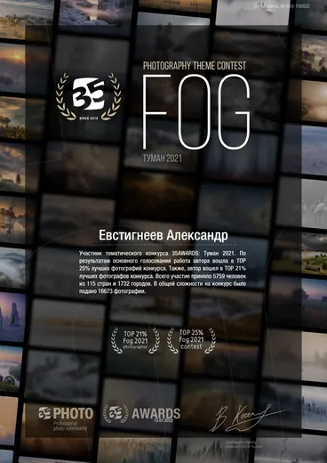 Сертификат участника тематического конкурса 35AWARDS «Туман 2021», Евстигнеев Александр