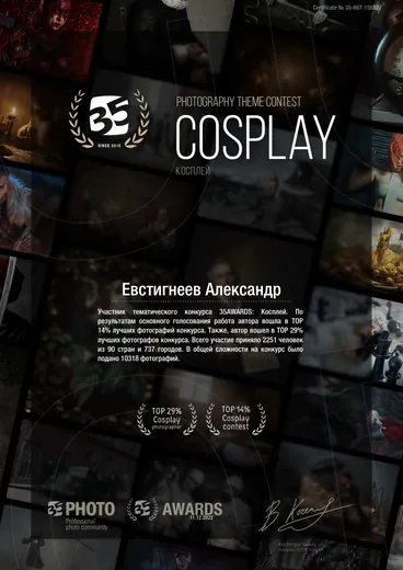Сертификат участника тематического конкурса 35AWARDS «Косплей», Евстигнеев Александр