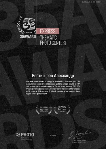 Сертификат участника тематического конкурса 35AWARDS «Красный цвет», Евстигнеев Александр