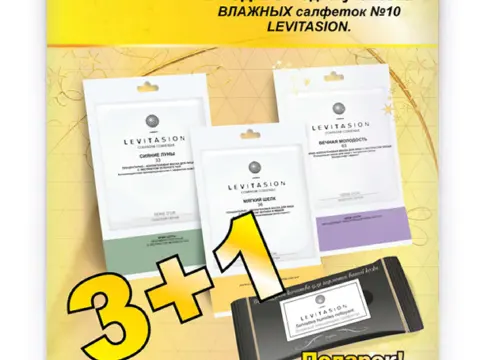 Листовки Levitasion и Vilenta, около 2009