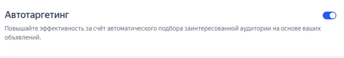 Скриншот из аудита: Автотаргетинг в РСЯ без контроля