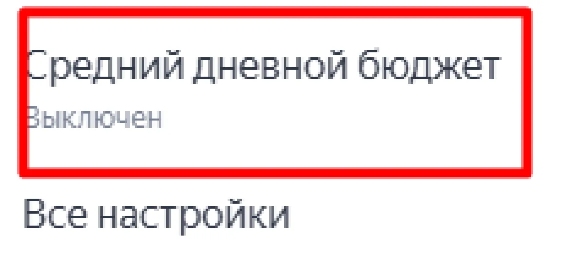 Скриншот из аудита: Нет дневного ограничения бюджета