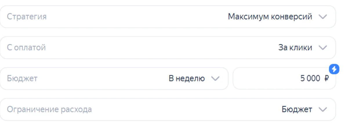 Скриншот из аудита: Оптимизация конверсий с оплатой за клики